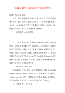 民政局政务公开试点工作总结范文