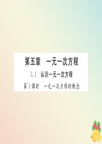 （贵阳专版）七年级数学上册 第五章 一元一次方程 5.1 认识一元一次方程（第1课时 一元一次方程的