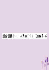 （贵阳专版）2019中考英语总复习 第1部分 教材知识梳理篇 组合训练11 八下 Units 5-6