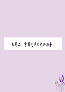 （贵阳专版）2019届中考历史总复习 第二编 热点专题速查篇 专题2 中国近现代化的探索（精练）课件