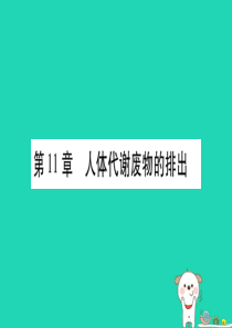 （贵港地区）2019年中考生物总复习 七下 第4单元 第11章 人体代谢废物的排出习题课件