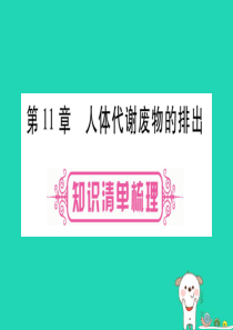 （贵港地区）2019年中考生物总复习 七下 第4单元 第11章 人体代谢废物的排出课件