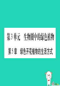 （贵港地区）2019年中考生物总复习 七上 第3单元 第5章 绿色开花植物的生活方式习题课件