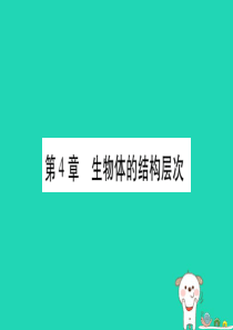 （贵港地区）2019年中考生物总复习 七上 第2单元 第4章 生物体的结构层次习题课件