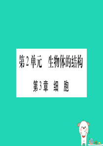 （贵港地区）2019年中考生物总复习 七上 第2单元 第3章 细胞习题课件