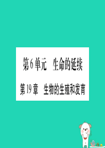 （贵港地区）2019年中考生物总复习 八上 第6单元 第19章 生物的生殖和发育习题课件