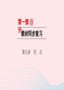 （广西专用）2019中考物理一轮新优化 第九章 浮力课件