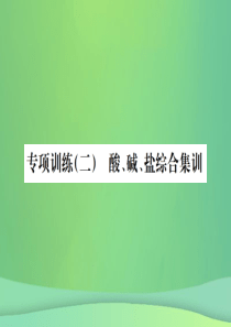 （广西专版）2019年中考化学总复习 专项训练（二）酸碱盐综合集训课件