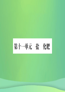 （广西专版）2019年中考化学总复习 教材考点梳理 第11单元 盐 化肥课件