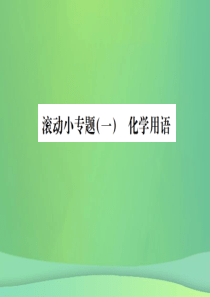 （广西专版）2019年中考化学总复习 滚动小专题（一）化学用语课件