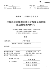 过程系统环境(火用)经济分析与优化的环境效应量化策略