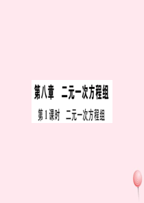 （广东专版）七年级数学下册 第八章 二元一次方程组8.1 二元一次方程组课件（新版）新人教版