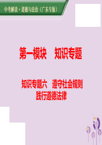 （广东专版）2019年中考道德与法治解读总复习 知识专题六 遵守社会规则 践行道德法律课件