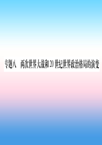 （甘肃专用）2019中考历史总复习 第二篇 知能综合提升 专题八 两次世界大战和20世纪政治格局的演