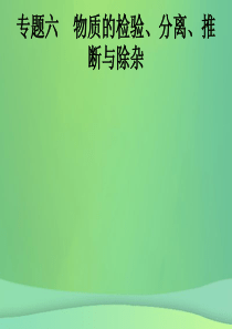 （甘肃地区）2019年中考化学总复习 专题六 物质的检验、分离、推断与除杂课件 新人教版