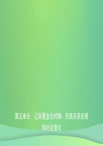 （东营专版）2019年中考历史复习 第五单元 辽宋夏金元时期：民族关系发展和社会变化课件