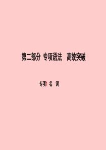 （滨州专版）2018中考英语总复习 第二部分 专项语法 高效突破 专项1 名词课件