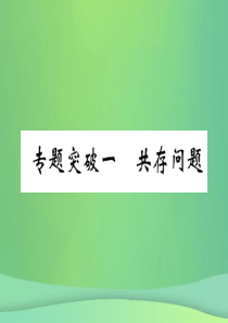 （百色专版）2019届中考化学毕业总复习 第2编 重点专题突破篇 专题突破1 共存问题课件