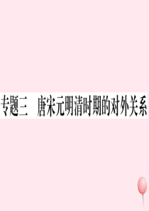 （安徽专版）七年级历史下册 期末专题复习三 唐宋元明清时期的对外关系习题课件 新人教版