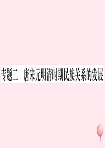 （安徽专版）七年级历史下册 期末专题复习二 唐宋元明清时期民族关系的发展习题课件 新人教版