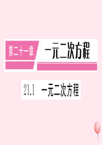 （安徽专版）九年级数学上册 第二十一章 一元二次方程 21.1 一元二次方程习题课件 （新版）新人教