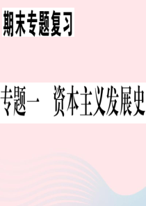 （安徽专版）九年级历史下册 期末专题复习一 资本主义发展史习题课件 新人教版