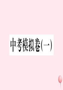 （安徽专版）九年级历史下册 模拟卷（一）课件 新人教版