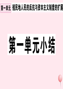 （安徽专版）九年级历史下册 第一单元 殖民地人民的反抗与资本主义制度的扩展小结习题课件 新人教版