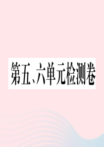 （安徽专版）九年级历史下册 第五、六单元检测卷课件 新人教版