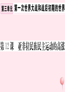 （安徽专版）九年级历史下册 第三单元 第一次世界大战和战后初期的世界 第12课 亚非拉民族民主运动的