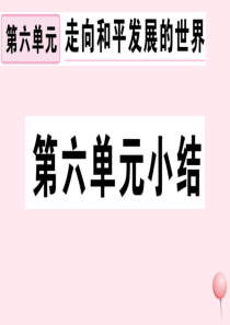 （安徽专版）九年级历史下册 第六单元 走向和平发展的世界小结习题课件 新人教版