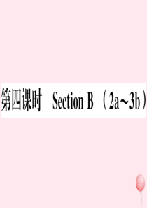 （安徽专版）八年级英语上册 Unit 6 I’m going to study computer s