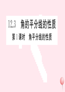 （安徽专版）八年级数学上册 第12章 全等三角形 12.3 角的平分线的性质 第1课时 角平分线的性