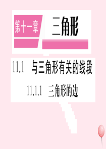 （安徽专版）八年级数学上册 第11章 三角形 11.1 与三角形有关的线段 11.1.1 三角形的边