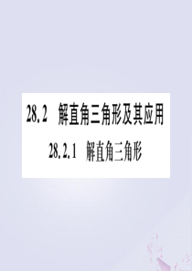 （安徽专版）2020年九年级数学下册 第28章 锐角三角函数 28.2 解直角三角形及其应用 28.