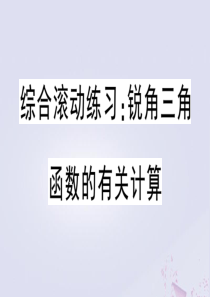 （安徽专版）2020年春九年级数学下册 综合滚动练习 锐角三角函数的有关计算课件（新版）新人教版