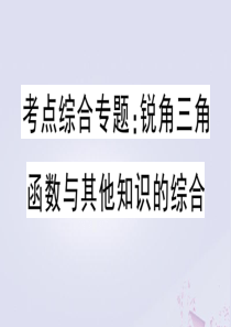 （安徽专版）2020年春九年级数学下册 考点综合专题 锐角三角函数与其他知识的综合课件（新版）新人教