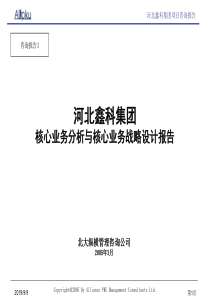 鑫科集团核心业务分析与核心业务战略设计报告