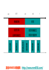 长城盛花XXXX年9月29日海口和信广场策略简案