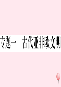 （安徽专版）2019秋九年级历史上册 期末专题复习一 古代亚非欧文明习题课件 新人教版