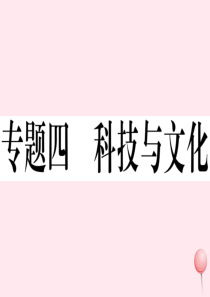 （安徽专版）2019秋九年级历史上册 期末专题复习四 科技与文化习题课件 新人教版