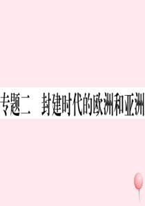 （安徽专版）2019秋九年级历史上册 期末专题复习二 封建时代的欧洲和亚洲习题课件 新人教版