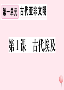 （安徽专版）2019秋九年级历史上册 第一单元 古代亚非文明 第1课 古代埃及习题课件 新人教版