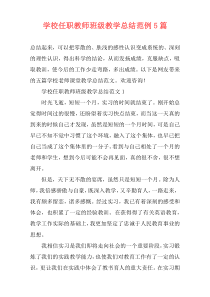 学校任职教师班级教学总结范例5篇