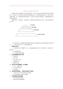 长虹企业战略分析(1)