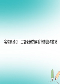 （安徽专版）2018秋九年级化学上册 第6单元 碳和碳的氧化物 实验活动2 二氧化碳的实验室制取与性