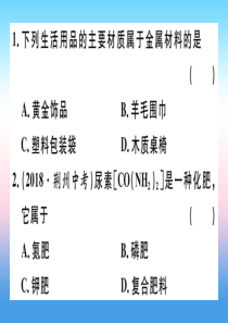 （安徽专版）2018-2019学年九年级化学下册 摸底集训篇 卷一 化学基础知识题习题课件 新人教版