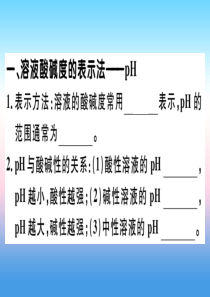 （安徽专版）2018-2019学年九年级化学下册 第十单元 酸和碱 课题2 第2课时 溶液酸碱度的表