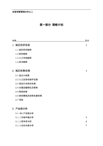 附件2：策略计划