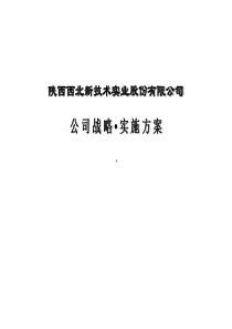 陕西西北高科技实业公司战略实施报告(PPT 142)